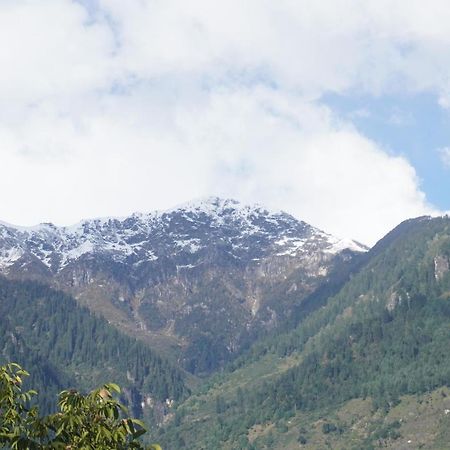 Himalayan Woods Cottage Manāli Esterno foto