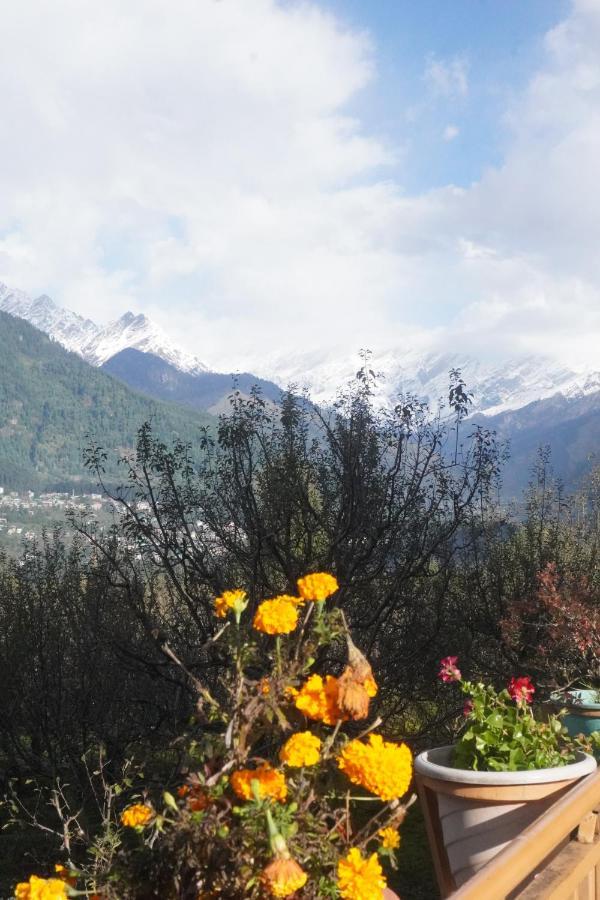 Himalayan Woods Cottage Manāli Esterno foto
