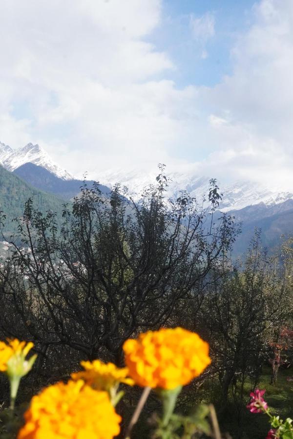 Himalayan Woods Cottage Manāli Esterno foto